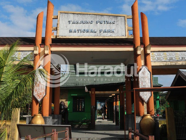 Galeri Paket Wisata Open Trip Taman Nasional Tanjung Puting 20