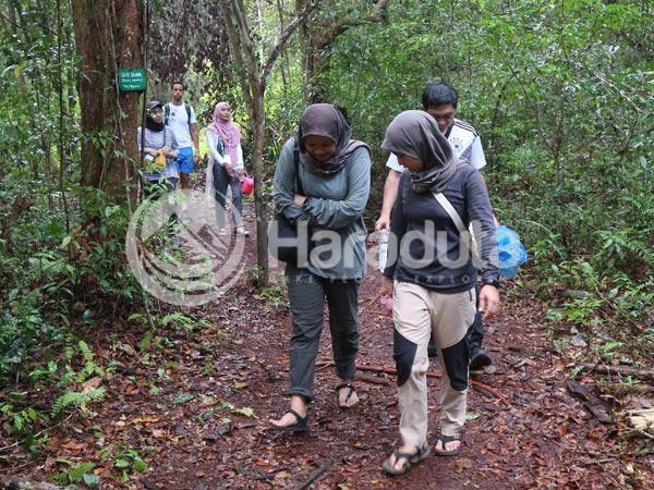 Galeri Paket Wisata Open Trip Taman Nasional Tanjung Puting 24