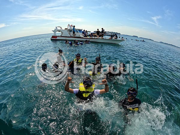 Open Trip Pulau Harapan Kepulauan Seribu Foto Snorkeling 001