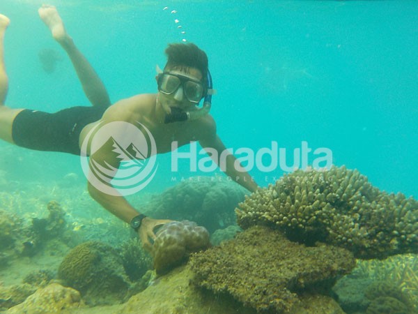 OPEN TRIP PULAU PRAMUKA 311216_19