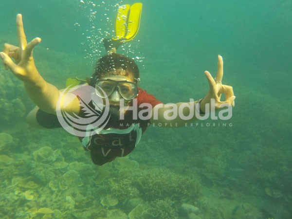 OPEN TRIP PULAU PRAMUKA 311216_30