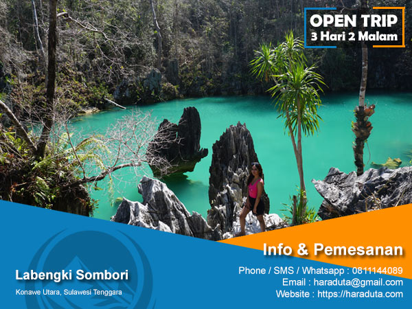 Open Trip Labengki Sombori