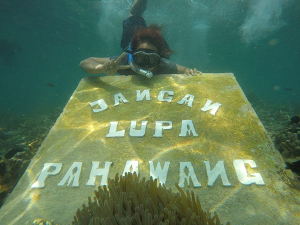 Open Trip Pulau Pahawang 1 Hari