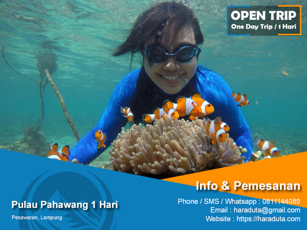 Pulau Pahawang 1 Hari