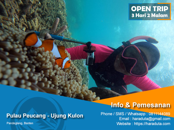 Open Trip Pulau Peucang Ujung Kulon