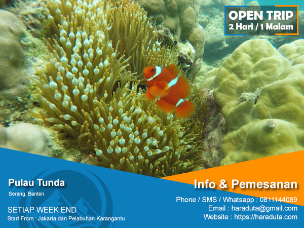 Open Trip Pulau Tunda