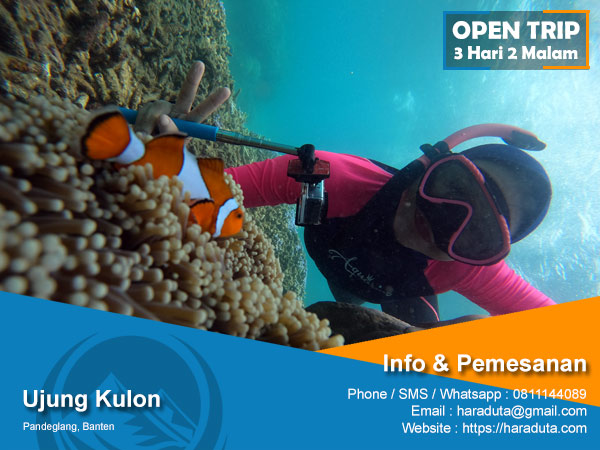 Open Trip Ujung Kulon Banten