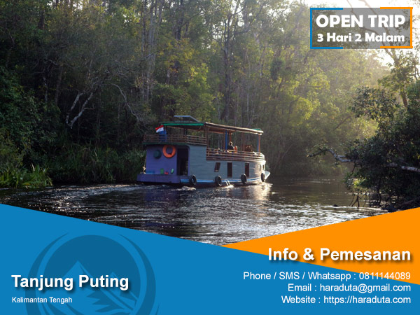 Open Trip Taman Nasional Tanjung Puting